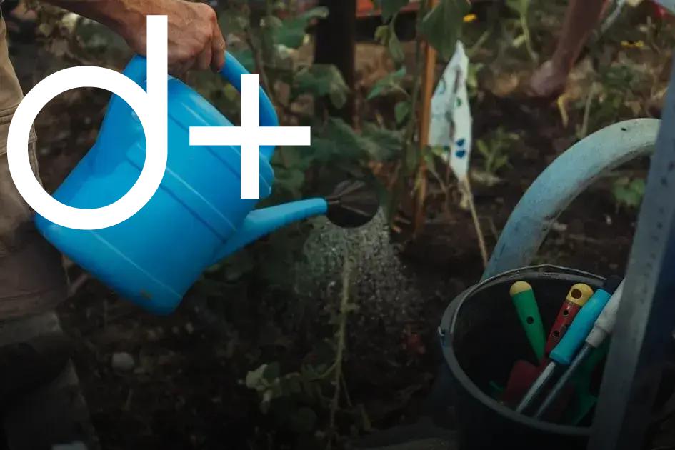Adding Water Features