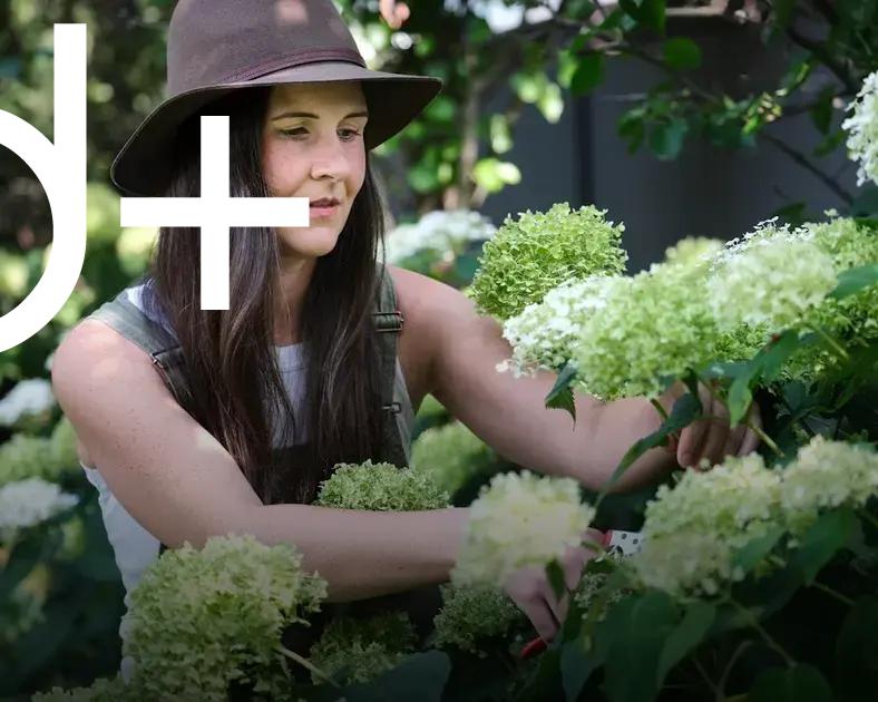 Container Gardening: Growing Plants Without a Yard Easily