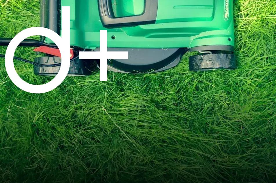 Effective Fertilizing Techniques