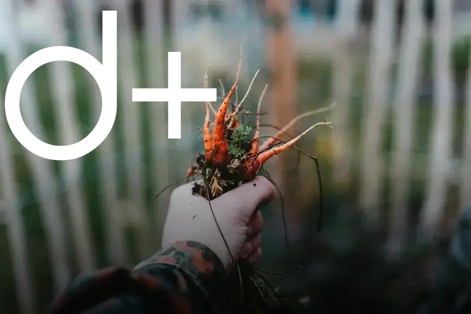 How to Choose the Right Mulch for Your Plants