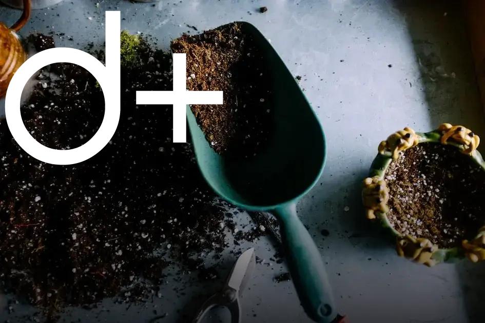 How to Prepare and Maintain Your Garden