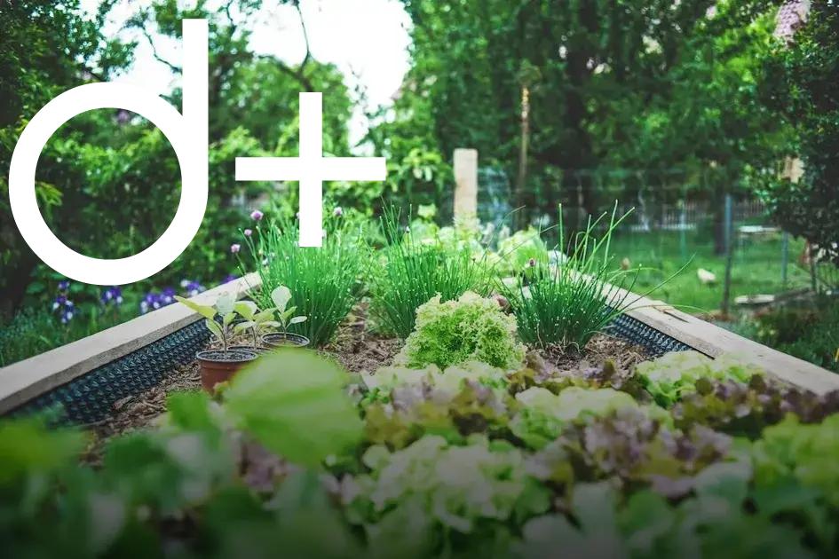 Soil Preparation Basics