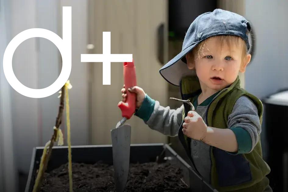 Tools You Will Need for Effective Pruning