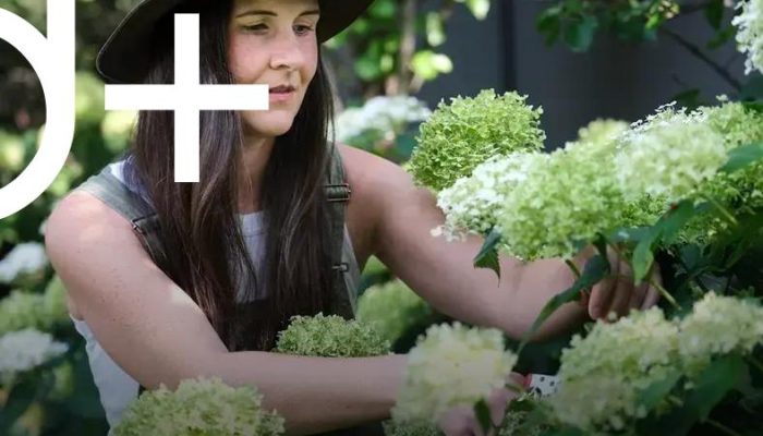 Container Gardening: Growing Plants Without a Yard Easily