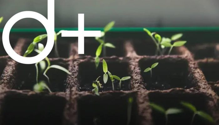 DIY Hanging Gardens: Save Space & Add Greenery Easily