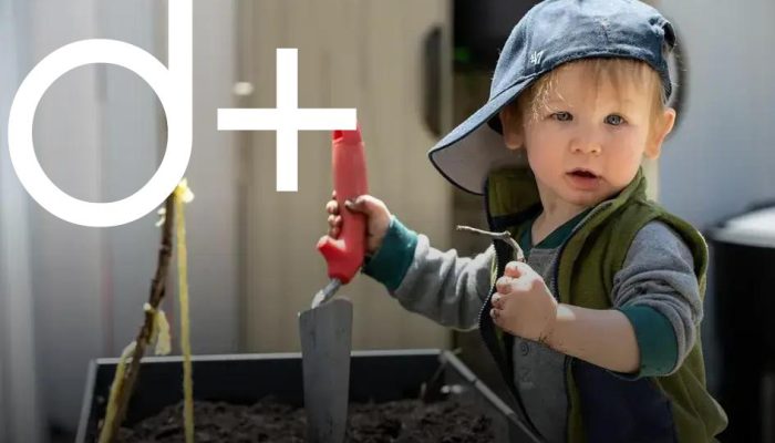 Incorporating Water Features into Your Garden: A Fresh Perspective