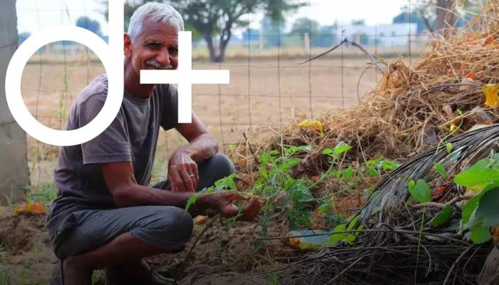 When & How to Fertilize Your Plants Effectively